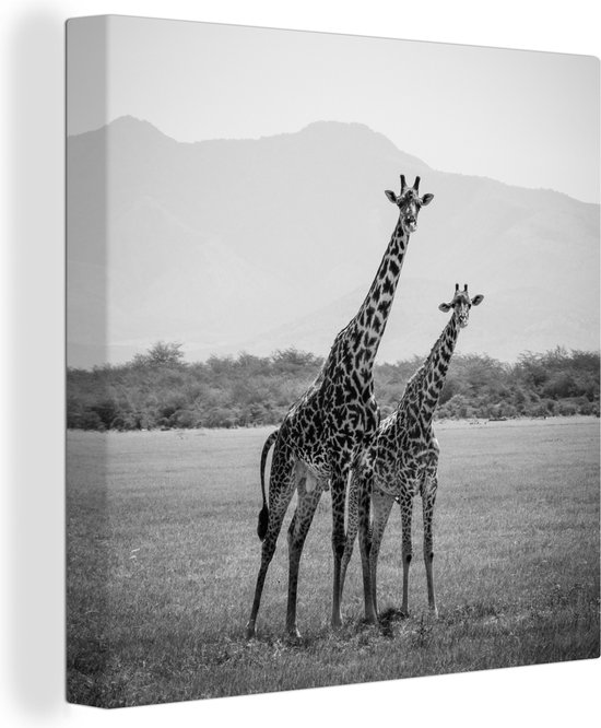 Canvas Schilderij Twee giraffes staan in veld in zwart-wit - 90x90 cm - Wanddecoratie