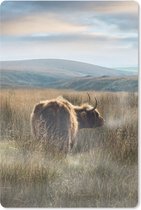 Muismat - Mousepad - Schotse Hooglanders - Mist - Gras - 18x27 cm - Muismatten