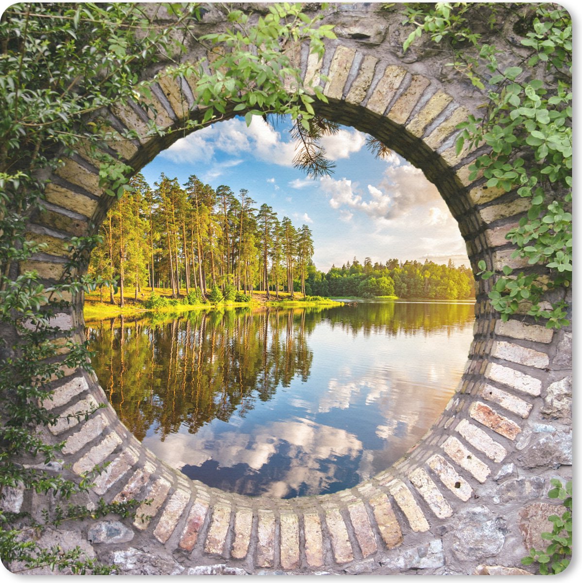 Muismat 20x20 cm - Mousepad Bomen - Water - Doorkijk - Muismatten