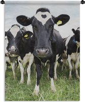 Tapisserie murale - Vaches - Herbe - Printemps - Animaux - Prairie - Ferme - 150x200 cm - Tapisserie