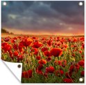 PDP.ProductImage.Thumb.Image.srtText 12