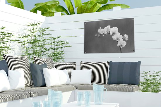 Décoration de jardin Orchidée - Fleurs - Plante - Wit - Violet - 60x40 cm - Poster jardin - Toile jardin - Poster extérieur