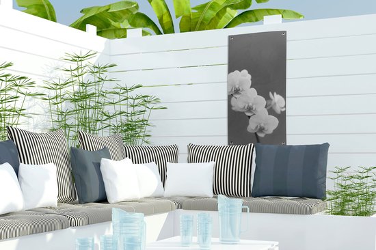 Poster de jardin Orchidée - Fleurs - Plante - Wit - Violet - 30x60 cm - Toile jardin - Poster extérieur