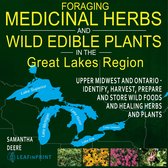 Foraging Medicinal Herbs and Wild Edible Plants in the Great Lakes Region