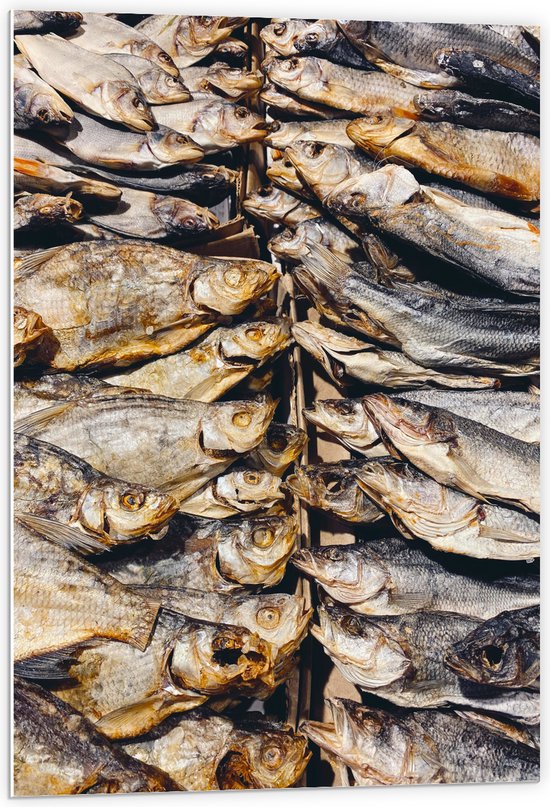 WallClassics - PVC Schuimplaat - Verse Vissen op een Vismarkt - 60x90 cm Foto op PVC Schuimplaat (Met Ophangsysteem)