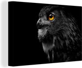 Canvas schilderij - Uil - Vogel - Zwart - Schilderijen op canvas - Canvas dieren - Canvas doek - 60x40 cm - Muurdecoratie - Woonkamer