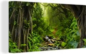 Canvas - Schilderij jungle - Bos - Water - Jungle - Muurdecoratie - Foto op canvas - 80x40 cm