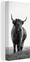 Canvas - Dieren - Schotse hooglander - Koe - Gras - Natuur - Woonkamer - Canvas schilderij - 20x40 cm - Woondecoratie - Canvas doek