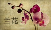 Fotobehang - Japanese orchid.
