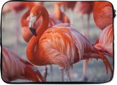 Laptophoes 13 inch - Flamingo - Vogel - Dieren - Roze - Laptop sleeve - Binnenmaat 32x22,5 cm - Zwarte achterkant