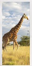 Deursticker Giraffe - Lucht - Gras - 95x215 cm - Deurposter