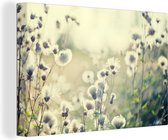 Canvas Schilderij Bloemen - Veld - Wit - 90x60 cm - Wanddecoratie