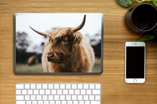 Autocollant pour ordinateur portable - 10,1 pouces - Highlander écossais - Animaux - Cornes - 25x18cm - Autocollants pour ordinateur portable - Peau pour ordinateur portable - Couverture