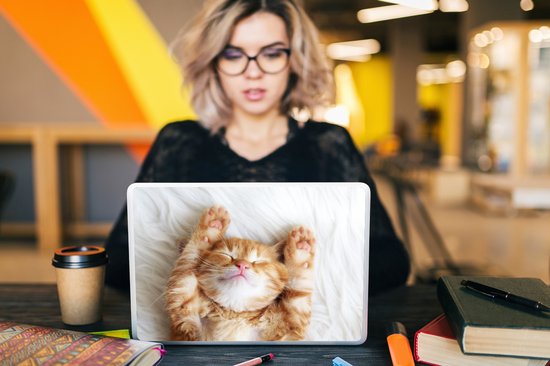 Autocollant pour ordinateur portable - 14 pouces - Chat - Rouge - Animaux domestiques - Chaton - 32x5x23x5cm - Autocollants pour ordinateur portable - Skin pour ordinateur portable - Housse