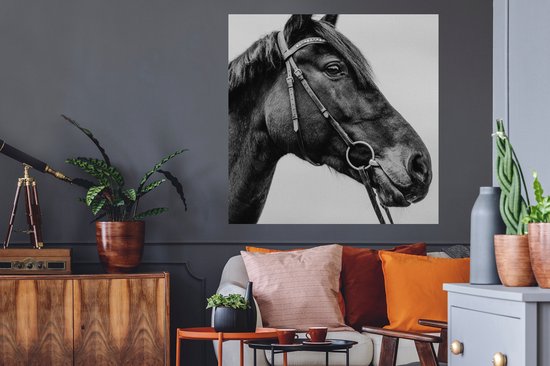 Stickers muraux - Cheval - Licou - Portrait - 100x100 cm - Film adhésif XXL