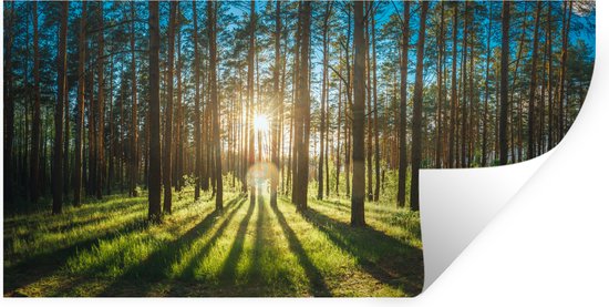 Stickers muraux - Film autocollant - Soleil - Arbres - Paysage - Herbe - 40x20 cm - Film adhésif - Stickers muraux chambre d'enfant - Papier peint autocollant - Papier peint autocollant - Film autocollant