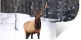 Stickers muraux - Film autocollant - Cerf - Neige - Hiver - 120x60 cm - Film adhésif - Stickers muraux chambre enfant - Papier peint autocollant - Papier peint autocollant - Film autocollant