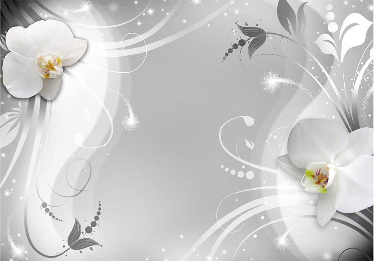 Fotobehangkoning - Behang - Vliesbehang - Fotobehang - Charming orchid - Orchidee - 400 x 280 cm