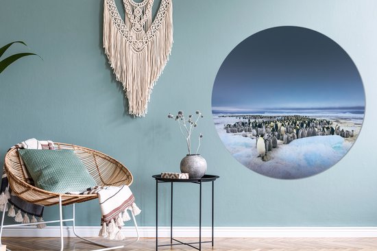Manchots empereurs au dessus du ciel sombre Cercle mural aluminium ⌀ 140 cm