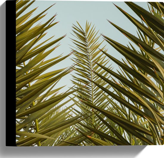 WallClassics - Canvas  - Palmboom Planten met Blauwe Lucht - 30x30 cm Foto op Canvas Schilderij (Wanddecoratie op Canvas)