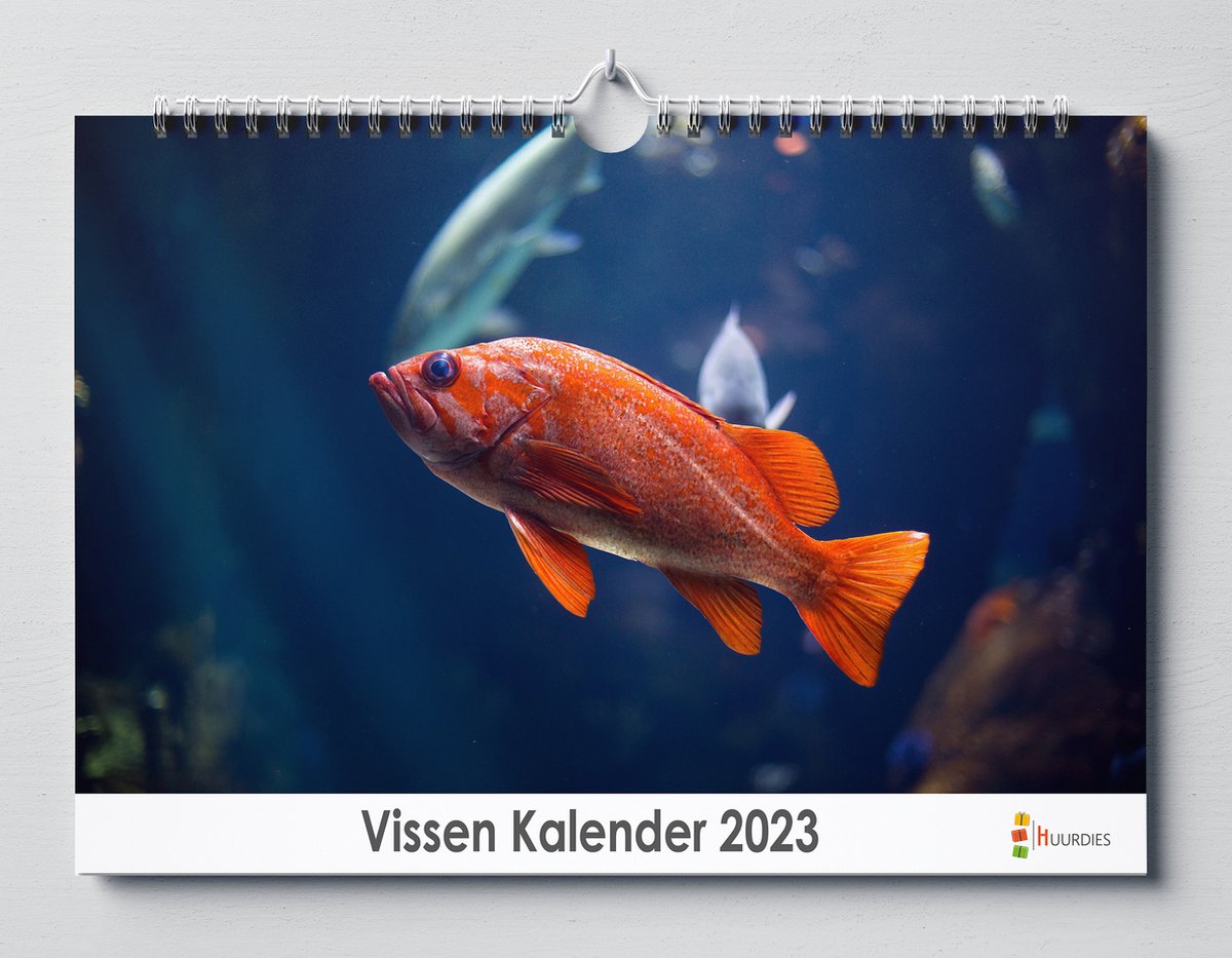 Vissen kalender 2023 | 35x24 cm | jaarkalender 2023 | Wandkalender 2023
