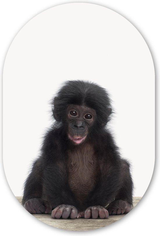 Muurovaal - Wandovaal - Kunststof Wanddecoratie - Ovalen Schilderij - Kind - Aap - Chimpansee - Baby dieren - Jongens - Meiden - 40x60 cm - Ovale spiegel vorm op kunststof