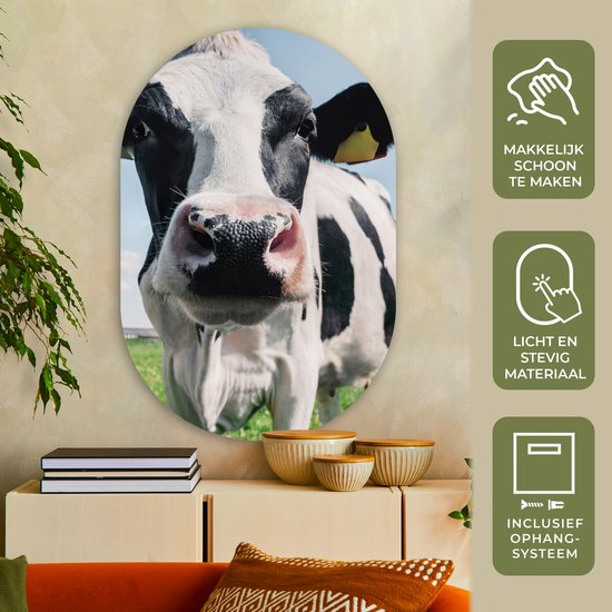 Ovale Mural - Ovale Mural - Décoration murale Plastique - Peinture Ovale - Vache - Pâturage - Nature - Animaux - Herbe - 80x120 cm - Forme Miroir Ovale sur Plastique
