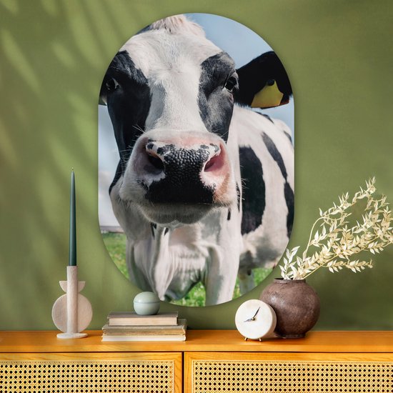 Ovale Mural - Ovale Mural - Décoration murale Plastique - Peinture Ovale - Vache - Pâturage - Nature - Animaux - Herbe - 80x120 cm - Forme Miroir Ovale sur Plastique