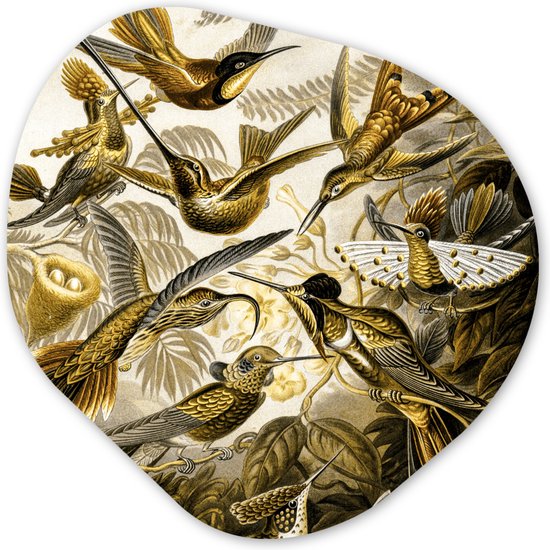 Organische Wanddecoratie - Kunststof Muurdecoratie- Organisch Schilderij - Trochilidae - Ernst Haeckel - Goud- 40x40 cm - Asymmetrische spiegel vorm op kunststof