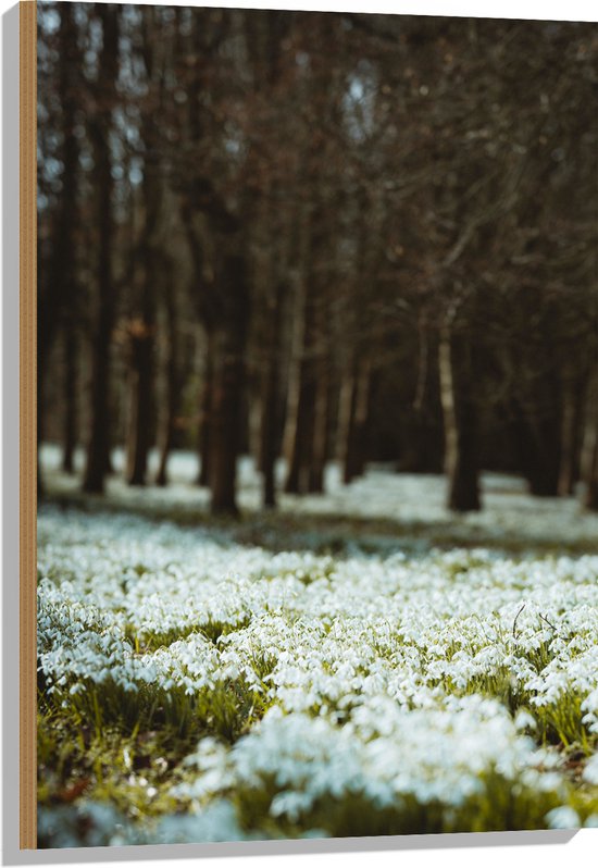 WallClassics - Hout - Wit Bloemen Veld - 60x90 cm - 12 mm dik - Foto op Hout (Met Ophangsysteem)