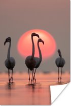 Poster - Fotolijst - Flamingo - Zon - Roze - Vogel - Tropisch - Kader - 20x30 cm - Poster met lijst - Foto in lijst - Poster dieren - Poster flamingo - Wanddecoratie