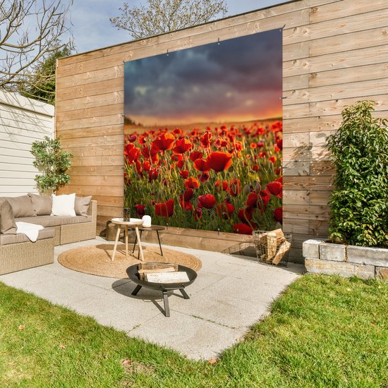 Affiche de Jardin Coucher de soleil - Coquelicots - Rouge - 200x200 cm