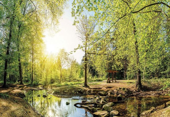 Foto: Fotobehang vlies behang zonnig bos met een beekje 254 x 184 cm
