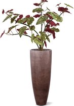 Begonia Maculata kunstplant 110cm