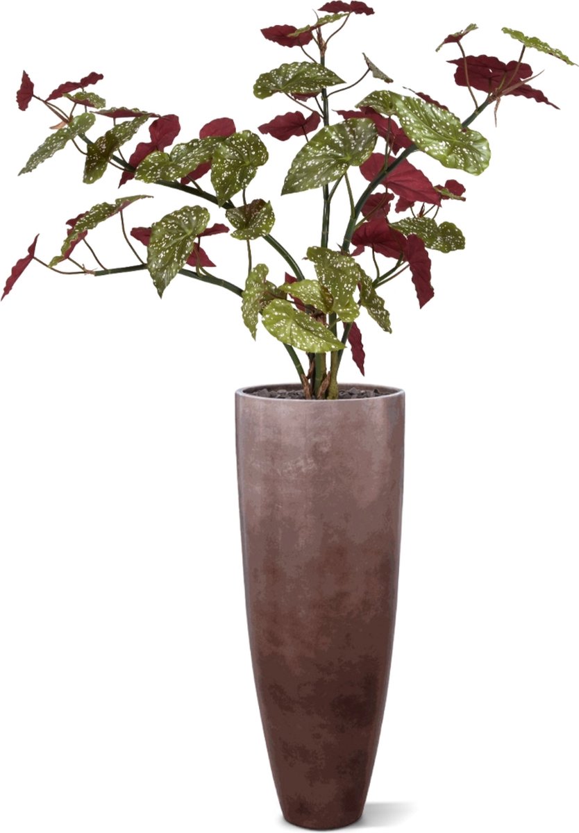maxifleur Kunstplanten Begonia Maculata kunstplant 110cm Rood