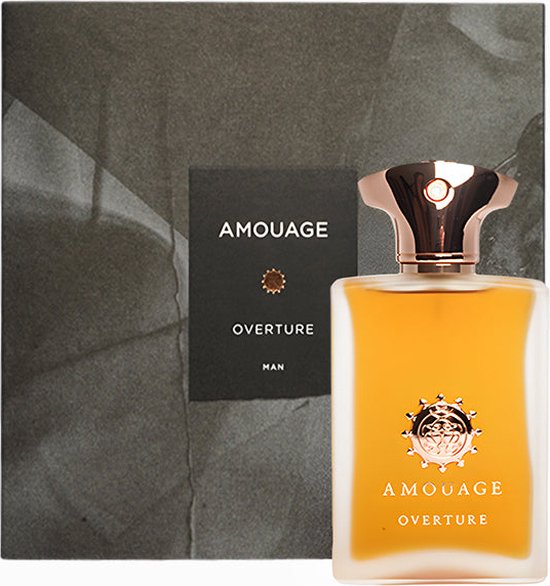Amouage Overture Man Eau de Parfum 100 ml Mannen Parfum