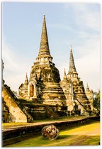 Acrylglas - Prachtige Puntige Wat Phra Si Sanphet Tempels in Ayutthaya, Thailand - 40x60 cm Foto op Acrylglas (Met Ophangsysteem)