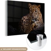 Glasschilderij luipaard - Boomstam - Dieren - Portret - Wanddecoratie - Woonkamer - 120x80 cm - Schilderij glas - Foto op glas - Woonaccessoires - Muurdecoratie - Glasplaat