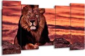 GroepArt - Canvas Schilderij - Wilde Dieren - Oranje, Bruin - 150x80cm 5Luik- Groot Collectie Schilderijen Op Canvas En Wanddecoraties