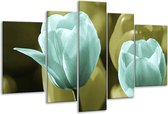 Glasschilderij Tulp - Blauw, Zwart, Groen - 170x100cm 5Luik - Foto Op Glas - Geen Acrylglas Schilderij - 6000+ Glasschilderijen Collectie - Wanddecoratie