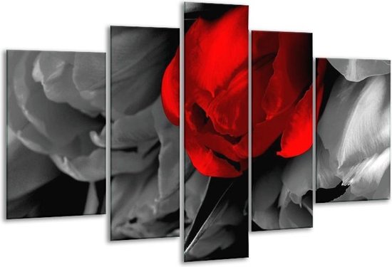 Glasschilderij Tulp - Rood, Grijs, Zwart - 170x100cm 5Luik - Foto Op Glas - Geen Acrylglas Schilderij - 6000+ Glasschilderijen Collectie - Wanddecoratie