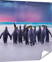 Gards Tuinposter Groep Pingu�ns bij het Water - Kudde - 100x100 cm - Tuindoek - Tuindecoratie - Wanddecoratie buiten - Tuinschilderij