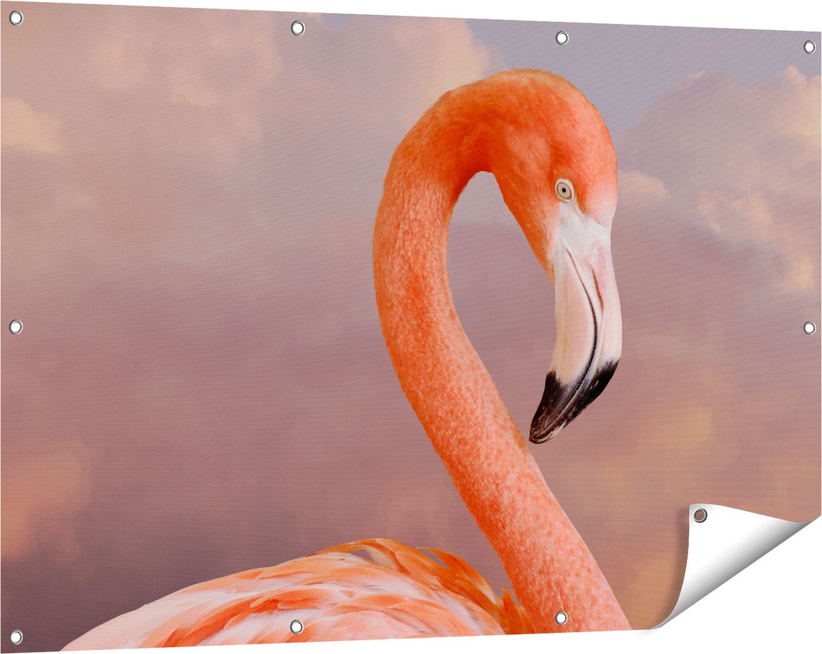 Gards Tuinposter Roze Flamingo in de Wolken - 120x80 cm - Tuindoek - Tuindecoratie - Wanddecoratie buiten - Tuinschilderij Multikleur