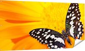 Gards Tuinposter Vlinder op een Oranje Bloem - 180x90 cm - Tuindoek - Tuindecoratie - Wanddecoratie buiten - Tuinschilderij