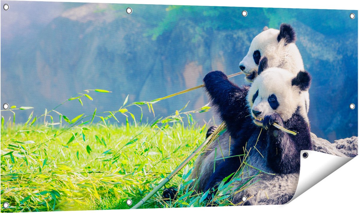 Gards Tuinposter Twee Panda's Eten Bamboe Riet - 120x60 cm - Tuindoek - Tuindecoratie - Wanddecoratie buiten - Tuinschilderij Multikleur