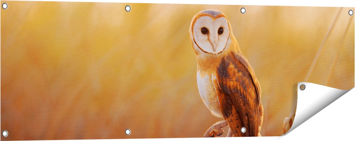 Gards Tuinposter Kerkuil op een Boomstronk - 120x40 cm - Tuindoek - Tuindecoratie - Wanddecoratie buiten - Tuinschilderij Multikleur