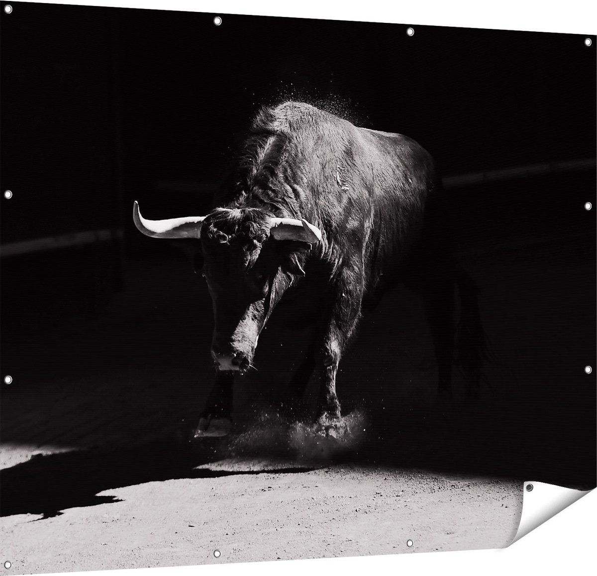 Gards Tuinposter Stier in de Arena - Zwart Wit - 150x120 cm - Tuindoek - Tuindecoratie - Wanddecoratie buiten - Tuinschilderij Multikleur