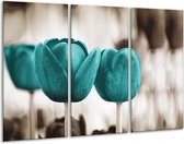 GroepArt - Schilderij -  Tulpen, Bloemen - Turquoise, Sepia - 120x80cm 3Luik - 6000+ Schilderijen 0p Canvas Art Collectie