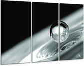 Glasschilderij Macro - Zwart, Grijs, Zilver - 120x80cm 3Luik - Foto Op Glas - Geen Acrylglas Schilderij - GroepArt 6000+ Glas Art Collectie - Maatwerk Mogelijk