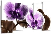 GroepArt - Canvas Schilderij - Orchidee - Paars, Grijs - 150x80cm 5Luik- Groot Collectie Schilderijen Op Canvas En Wanddecoraties